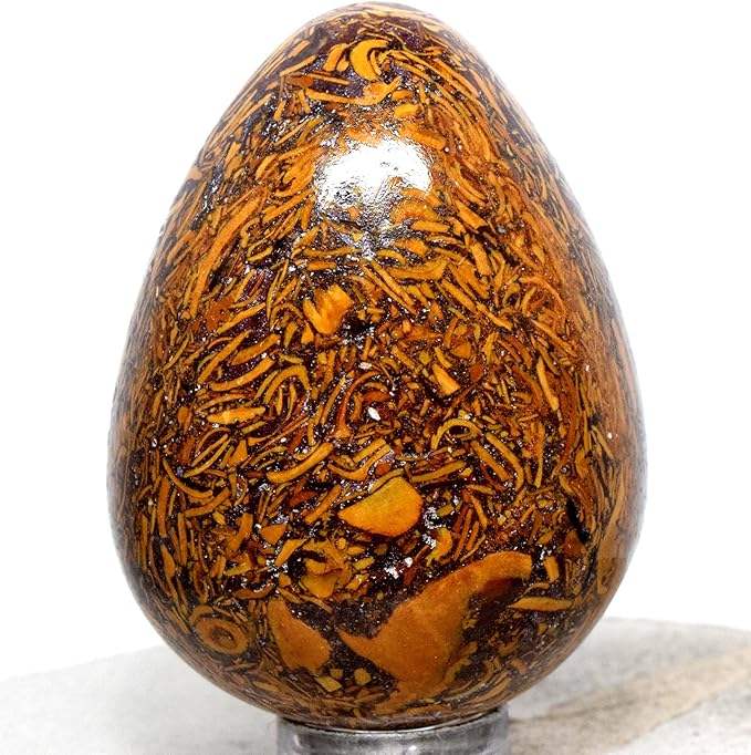 ตามที่แสดงในรูป