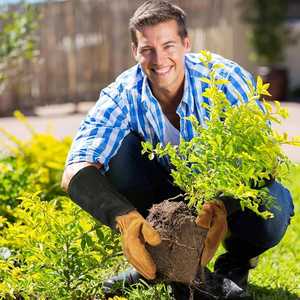 Gants d'élagage OEM en rose pour hommes et femmes, longs gants de jardinage résistants aux épines, gantelet en cuir de porc respirant, meilleur cadeau de jardin - Product Image 5