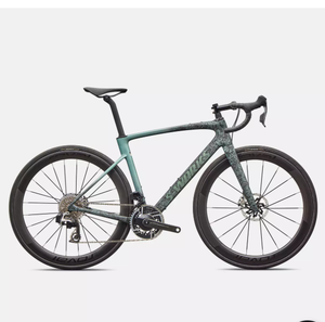 Bicicleta SS WWorks RoubaixX SL8 - Product Image 1