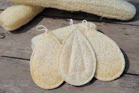 Sustainable <b>Loofah</b> Sponges - Order in Bulk for the Best Eco-Friendly Bath Experience - Product Image 4