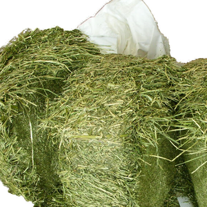 Alfalfa al Mejor Precio en Venta, Heno de Alta Calidad Apto para Ganado, Caballos, Vacas, Conejos y Compradores Mayoristas - Product Image 3