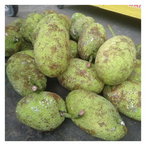 Fruit à pain congelé en gros, sélectionné à la main, traité sous contrôle de qualité strict, longue durée de conservation pour l'exportation, marchés intérieurs - Product Image 1