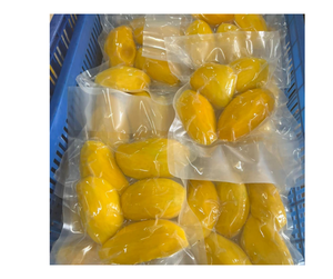 Mango congelado Premium IQF de Vietnam, proveedor líder de mango congelado para exportar trozos y rebanadas dulces con altos estándares de calidad - Product Image 4