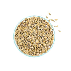 Somos un Proveedor Confiable de Granos de Malta de Cebada Orgánica de Francia, Ofrecemos Precios Competitivos y Distribución Global - Product Image 3