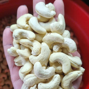 Prix d'usine bon marché Noix de cajou brutes WW180, WW240, WW320, Noix de cajou LP Prix des noix de cajou en Chine avec taxe gratuite - Product Image 1