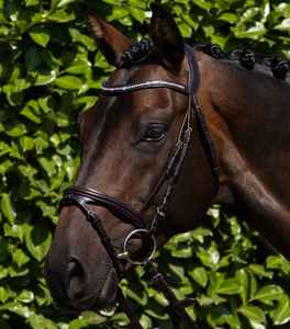 Harnais de cheval en cuir robuste de qualité supérieure, design selle anglaise 2026, personnalisable, pour l'équitation en extérieur, service OEM - Product Image 1