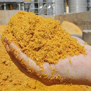 DDGS de maíz para aves de corral, ganado y acuicultura, DDGS orgánicos naturales de alta calidad para alimentación animal - Product Image 6