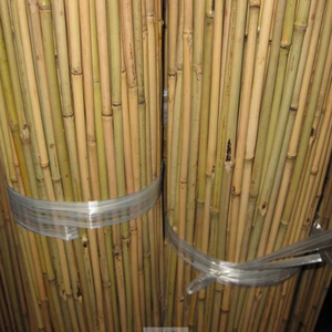 100% Natural and Flexible <b>Bamboo</b> Stick for Garden/ <b>Bamboo</b> Stick Support Plant Made in Vietnam - Product Image 6
