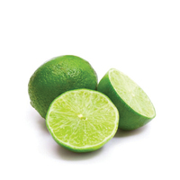 Prix PAS CHER HAUTE QUALITÉ FRAIS SANS GRAINES 2023/Lime sans pépins frais Vietnam/CITRON VERT en gros