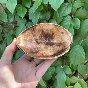 Tazón de cáscara de coco desechable pequeño a granel, fondo redondo con forma ovalada, hecho a mano en Vietnam - Product Image 2