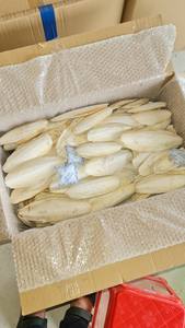 อาหารทะเลแห้งก้างปลา (ปลาหมึก) จากเวียดนามขายดีเป็นธรรมชาติกระดูกปลาหมึกฟอกขาวสำหรับนกแก้วและนก - Product Image 5