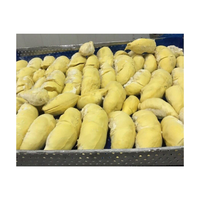 Durian Beku Grosir Terbaik Vietnam Dengan Harga Pabrik Dari Produsen Vietnam 99 Gold Data