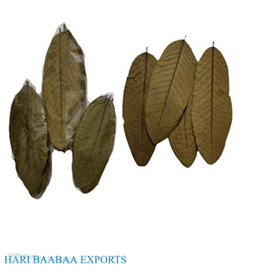 Extracto de planta de hojas de guayaba secas naturales para la salud y el bienestar - Product Image 1