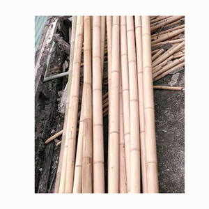 Postes de bambú Moso de alta calidad tratados postes de bambú natural muy rectos y duraderos/bastones/estacas para agricultura - Product Image 3