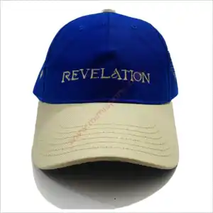 Top Trending Custom high quality embroidery trucker hats, trucker hats with screen printing logo plain foam trucker hat