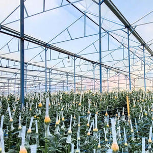 Film de serre de qualité professionnelle pour la culture des fleurs, à utiliser dans l'agriculture, la foresterie et la pêche, avec des dimensions standard - Product Image 2