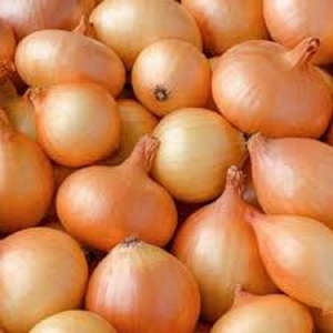 Oignons rouges et jaunes frais biologiques de première qualité, prêts à être expédiés à un prix compétitif - Product Image 6