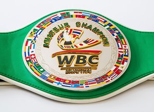 Cinturón de Campeonato de Boxeo Personalizado - Product Image 6