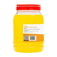 Gelée de fruits mangue-coco 8,8 lb en pot, saveur sucrée et savoureuse, certifiée Halal, motifs variés - Bâtonnets, boules, dessins animés SKU
