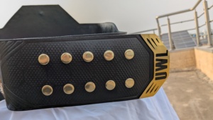 Ventas al por mayor Oem/Odm Custom 6MM Cuero Lucha Boxeo Legacy Aleación de zinc Campeonato Cinturón de peso pesado - Product Image 5
