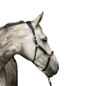 Nouvelle vente en gros d'usine, collier de tête de cheval en cuir anglais personnalisé, de haute qualité, réglable et confortable, pour l'équitation - Product Image 3
