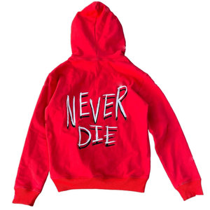 Sweat-shirt à capuche 100% coton de qualité supérieure pour hommes avec logo personnalisé Impression bouffante Surdimensionné Basics Sweat-shirt d'hiver teint uni - Product Image 2