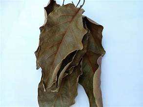 ผลิตภัณฑ์สมุนไพรธรรมชาติใบอะโวคาโดแห้งบริสุทธิ์สำหรับดีท็อกซ์ทำความสะอาดฉลากเพื่อสุขภาพ - Product Image 5