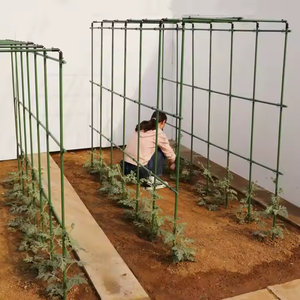 Arche de jardin Décoration de roses Passerelle extérieure Plantes grimpantes Vigne de raisin Treillis métallique - Product Image 3