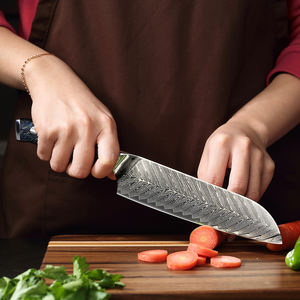 Couteau de chef de cuisine japonais lame en acier Damas manche en résine lame fixe tranchante Vente en gros personnalisé Top qualité OEM ODM Service - Product Image 4