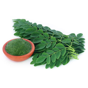 Poudre de feuilles de Moringa Oleifera, extrait végétal biologique de qualité alimentaire en vrac |   Fabricant de marques privées par FIT - Product Image 2