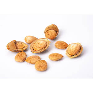<b>Dried</b> <b>Apricot</b> Kernels | Clean Packing for Export and Food Industry - Product Image 2