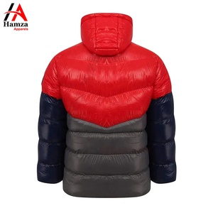 OEM ligero 300 GSM poliéster aislado rojo gris azul marino hombres a prueba de viento con capucha abrigo de invierno al aire libre estilo de la calle - Product Image 2