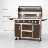 Barbecue à gaz extérieur marron sur chariot en acier inoxydable avec brûleur latéral et tiroirs de rangement
