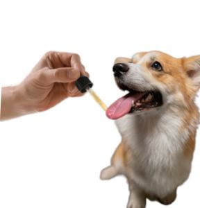 Custom marca privata liquido per la pelle cappotto 30ml animali domestici salute e cura orale liquido per cani e gatti - Product Image 1