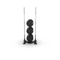 QLI WEIGHT TREE QWT400 Support vertical en métal pour haltères et plaques de musculation, équipement de fitness commercial, robuste et sûr