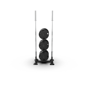 QLI WEIGHT TREE QWT400 Support vertical en métal pour haltères et plaques de musculation, équipement de fitness commercial, robuste et sûr - Product Image 3