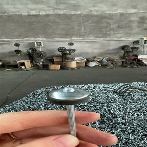 Clavos Galvanizados Resistentes para Fijar Láminas de Techo Corrugado - Product Image 3