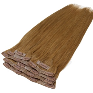 APOGROUP Extensions de cheveux à clipser sans couture, cheveux humains vietnamiens vierges, double épaisseur, pointes épaisses, toutes couleurs, pour femmes, usage professionnel en salon - Product Image 1