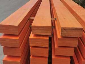 Bûches de bois de Padauk frais, bois rouge naturel de qualité export pour la construction et l'ameublement - Product Image 6