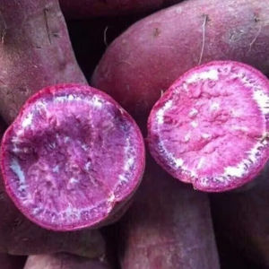 Savoureux Vietnam IQF patate douce congelée exportateur fiable fournissant une qualité constante - Product Image 1