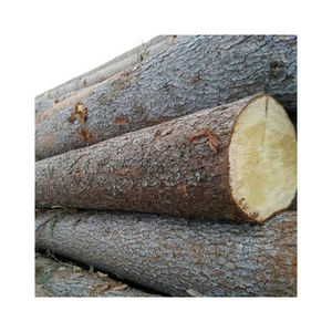 Beech <b>Wood</b> Construction - Round <b>Wood</b> <b>Logs</b> for Sale - Beech Sawn <b>Wood</b> Lumber Export 66. Worldwide Export Natural - Product Image 1