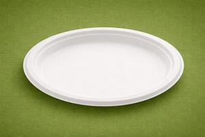 Plato Desechable Moderno de Bagazo de Caña de Azúcar, Ecológico, Biodegradable y Compostable, para Cenas y Restaurantes, 500 Unidades/Caja - Product Image 6