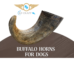 Mâcher de l'eau de corne de buffle d'eau naturelle de l'exportateur indien - Product Image 2