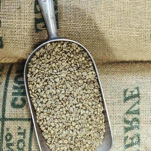 MEILLEURE GRADE AROMATIQUE SCR16 SCR18 VIETNAMIEN ROBUSTA GRAINS DE CAFÉ VERT NON LAVAGE NETTOYÉ HUMIDE POLI, AGRICOLE EN GROS EXPORTATION - Product Image 4