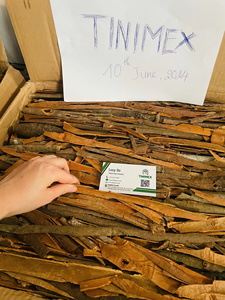 Cannelle/Cassia pressée de saison, 100% pure de la province de Yen Bai, 10 kg/carton, prix de gros avantageux directement de l'usine du Vietnam - Product Image 5
