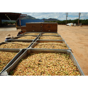 ถั่วพิสตาชิโอโปรตีนสูงคาร์โบไฮเดรตมีโปรตีนสูงภาชนะบรรจุที่มีประโยชน์ต่อสุขภาพสูง - Product Image 4