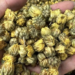 Best Quality Organic <b>Blooming</b> Daisy Chamomile Flower <b>Tea</b> Directly From Vietnam at Competitive Price - Product Image 6