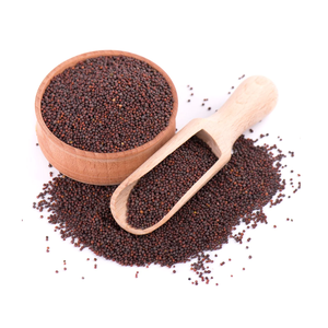 Graines de moutarde déshydratées de haute qualité - Product Image 1