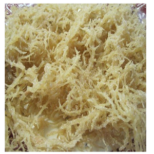 Materia prima seca sin sal de algas marinas Cottonii para la producción de carragenina Origen de Vietnam - Product Image 6