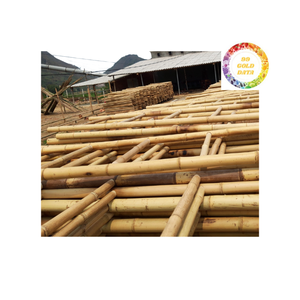 Poteaux de bambou naturel de gros pour la construction durable et le soutien de jardinage - Product Image 3